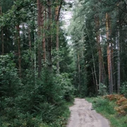 Урочище Троица-Чижи. Однодневный поход в Подмосковье поход, изображение 2