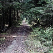 Аргуновская волость. Однодневный поход в Подмосковье поход, изображение 2