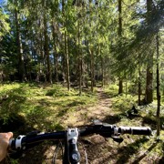 На велосипеде по лесным тропам