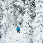 Горнолыжный тур в Шерегеш. Снежная Сибирь поход, изображение 4