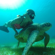 плавать с черепахами