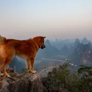 Китай. Горы Аватара и Гуйлинь поход, изображение 1
