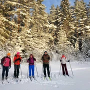 Лыжный день по сказочным местам. Однодневный выезд из Петербурга поход, изображение 2