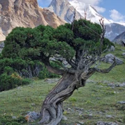 Поход по Кыргызстану. Азиатская Патагония восточная часть поход, изображение 1