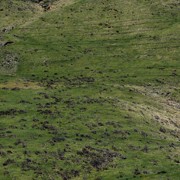 горное плато Дагестан