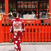 Япония в сезон красных клёнов момидзи. Большое путешествие по всей стране поход, изображение 2