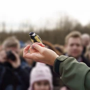Заповедное Приладожье: тур в Нижне-Свирский заповедник с ночевкой поход, изображение 1