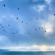 Заповедное Приладожье: тур в Нижне-Свирский заповедник с ночевкой поход, изображение 2