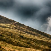 Дыхание Безенги. Автономный поход к самому большому леднику Кавказа поход, изображение 4