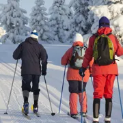 Зимняя Карелия: снегоходы, лыжи, северное сияние поход, изображение 1