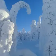 Зимняя Карелия: снегоходы, лыжи, северное сияние поход, изображение 3