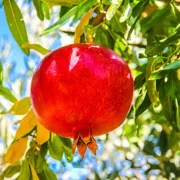 Пеший поход и сплав на каяках по Ликийской тропе поход, изображение 1