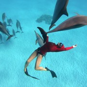 танец с дельфином
