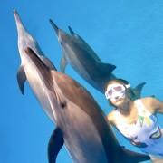 плавать с дельфином