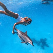 Татьяна Афанасьева дельфины