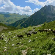 Пик Орленок Архыз