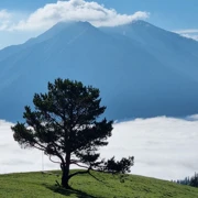 Большое семейное приключение в Архызе. Поход без рюкзаков (7+) поход, изображение 1