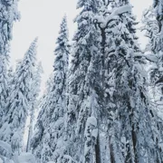 Воттоваара на снегоступах. Зимняя Карелия поход, изображение 4