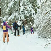 Лыжные тренировки в Москве. Базовый уровень поход, изображение 3