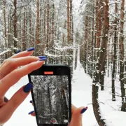 Подмосковная Карелия на снегоступах поход, изображение 1