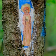 2 усадьбы. Однодневный трекинг в Подмосковье поход, изображение 3