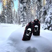 ДОТы, снегоступы и снежный лес. Однодневный поход по Карельскому перешейку поход, изображение 2