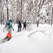 Снежный день в Ленобласти. Прогулка на снегоступах из Лемболово поход, изображение 3