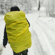 Поход с ночёвкой у костра в подмосковном лесу поход, изображение 4