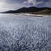 Детский Зимний Байкал. Остров Ольхон (6+) поход, изображение 4