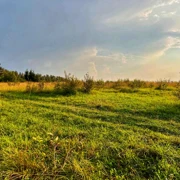 Дорога в Лавру