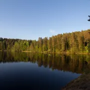 По гряде Вярямянселькя. Пеший поход с палатками и рафтингом поход, изображение 4