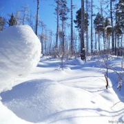 Байкал. Однодневный трекинг к Олхинским скальникам зимой и летом поход, изображение 3