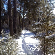 Байкал. Однодневный треккинг к Олхинским скальникам зимой и летом поход, изображение 2
