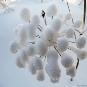 Байкал. Однодневный треккинг к Олхинским скальникам зимой и летом поход, изображение 3