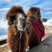 В гости к кочевникам. Однодневный поход поход, изображение 1