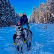 Деревенский Новый год в Подмосковье. К лошадкам на снегоступах (0+) поход, изображение 4