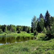 Черниговский лес и берег Лесного озера поход, изображение 2
