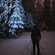 Лыжный выезд из Комарово. Вечерняя прогулка в будние дни поход, изображение 3