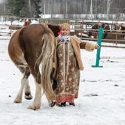 Масленица в Подмосковье. Однодневный поход на конную ферму (0+) поход, изображение 2