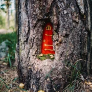Вместе весело шагать или новые приключения юных туристов. Однодневный семейный поход в ЛО (5+) поход, изображение 3
