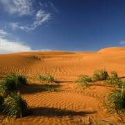 Пустыня в Калмыкии. Фотобанк Istock