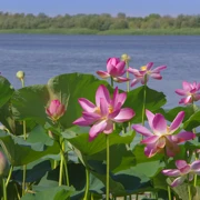 Фотограф Kulagina