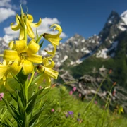 Домбай. Горный лагерь в палатках поход, изображение 4
