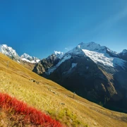 Домбай. Золотая осень в горах поход, изображение 4