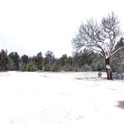 Введенский остров. Однодневный поход в Подмосковье поход, изображение 4