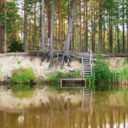 Кольцо Радогостья поход, изображение 1