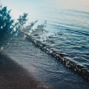 Семейный поход по Большой Валдайской Тропе: история и природа в одном путешествии! (6+) поход, изображение 4