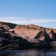Северное лето на Белом море. Активный тур на Соловки и Кузова поход, изображение 3