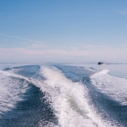 Северное лето на Белом море. Активный тур на Соловки и Кузова поход, изображение 4