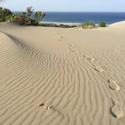 Турция: поход по Ликийской тропе. Западная часть (от Каша до Олюдениза) поход, изображение 4